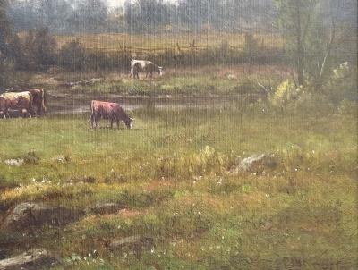Charles Wilson Knapp Summer 