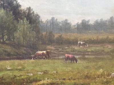 Charles Wilson Knapp Summer 