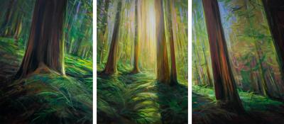 Charlie Easton Coastal Old Growth