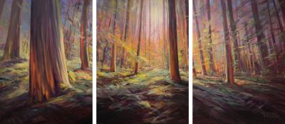 Charlie Easton Forest Bathing