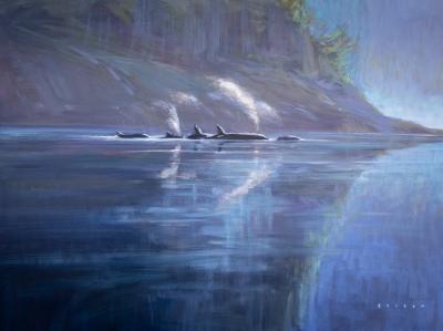 Charlie Easton Orca Mystery