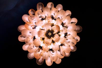 Charming Pink and White Murano Petals Chandelier or Ceiling Light
