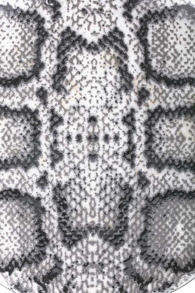 Chic Snakeskin Enameled Metal Serving Plate