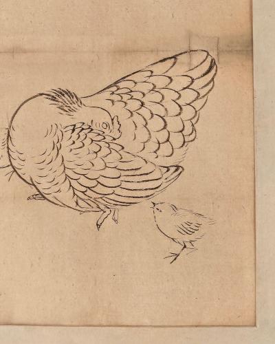 Chicken and Chick Japan circa 1850