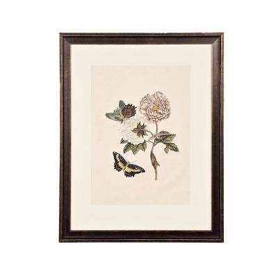 China Trade Painting of Flowers Butterflies circa 1880
