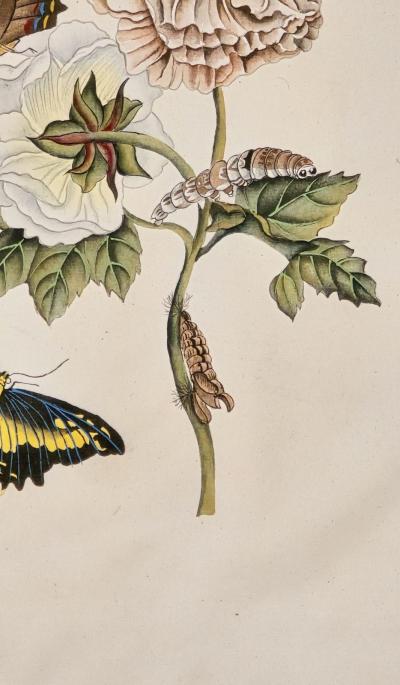 China Trade Painting of Flowers Butterflies circa 1880