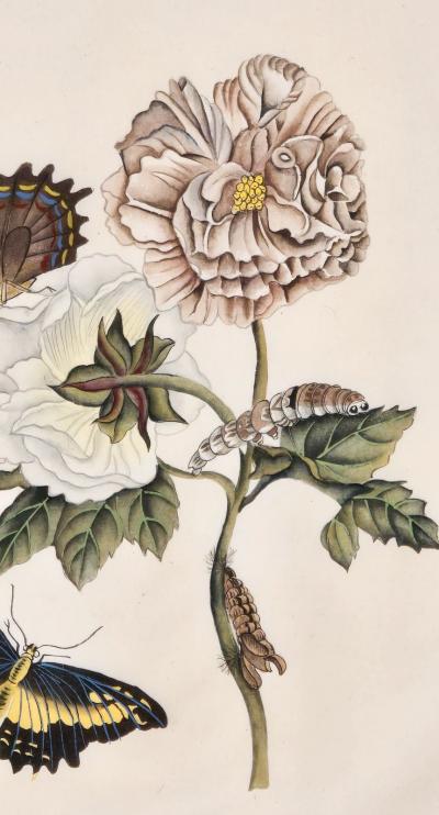 China Trade Painting of Flowers Butterflies circa 1880