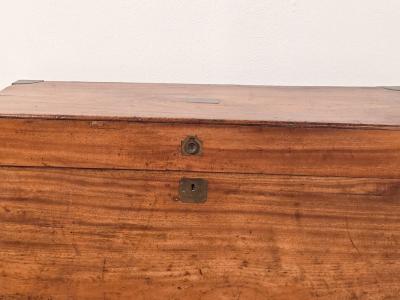 Chinese Camphor Brass Mounted Campaign Trunk circa 1890