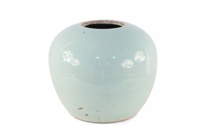 Chinese Celadon and Blue Peacock Porcelain Vase