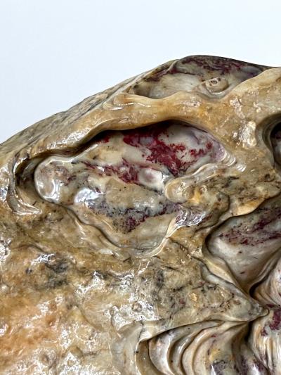 Chinese Chicken Blood Stone Carving of Bodhidharma on Wood Stand