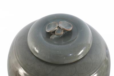 Chinese Sage and Tonal Botanical Motif Porcelain Jar