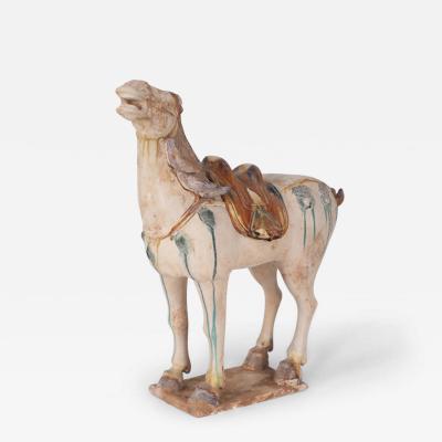 Chinese Sancai Glazed Tang Dynasty Style Terra Cotta Horse Tomb Figure