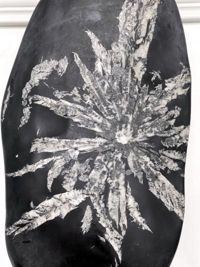 Chinese Scholar Rock Chrysanthemum Stone