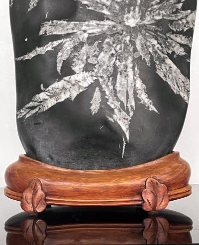 Chinese Scholar Rock Chrysanthemum Stone