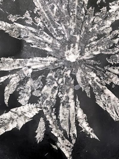 Chinese Scholar Rock Chrysanthemum Stone