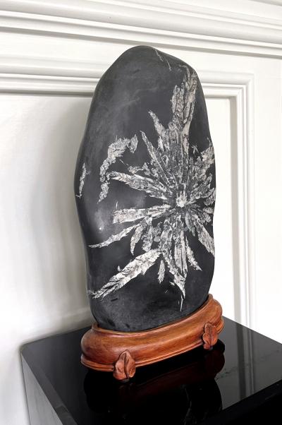 Chinese Scholar Rock Chrysanthemum Stone