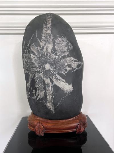 Chinese Scholar Rock Chrysanthemum Stone