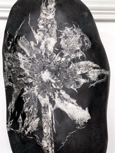 Chinese Scholar Rock Chrysanthemum Stone