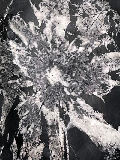 Chinese Scholar Rock Chrysanthemum Stone