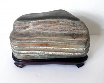 Chinese Scholar Stone Caitao Rock on Display Stand