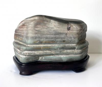 Chinese Scholar Stone Caitao Rock on Display Stand