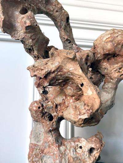 Chinese Scholar Stone Taihu Rock on Wood Stand