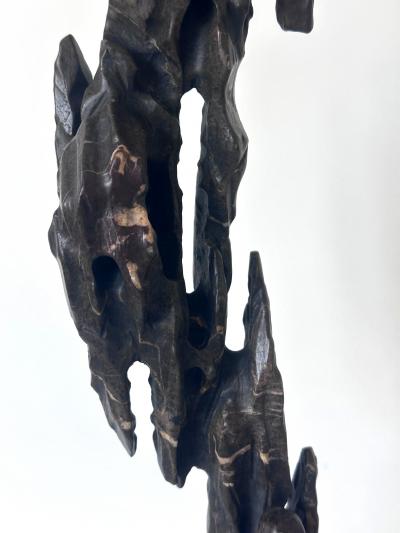 Chinese Scholar Stone Tall Slender Lingbi Rock on Display Stan