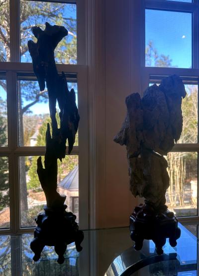 Chinese Scholar Stone Tall Slender Lingbi Rock on Display Stan