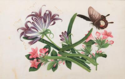 Chinese School CHINESE EXPORT WATERCOLOURS ON PITH PAPER Group of 12 flowers and insects 