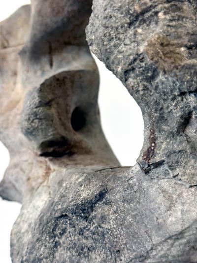 Chinese Taihu Scholar Stone on Display Stand