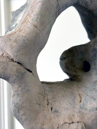 Chinese Taihu Scholar Stone on Display Stand