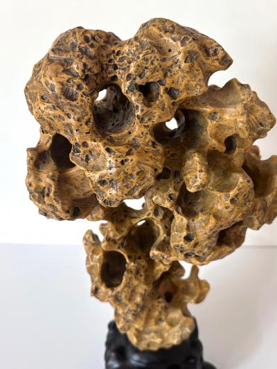 Chinese Yellow Scholar Taihu Stone on Wood Stand