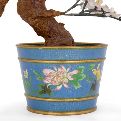 Chinese hardstone model of cherry blossom in a cloisonn enamel planter