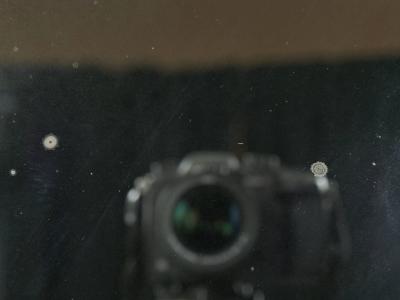 Chippendale Style Carved Giltwood Antique Pier Mirror 19th Century