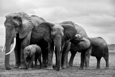 Christian Cravo Christian Cravo AFRICA REALM OF THIS WORLD May 11th July 8th 2023