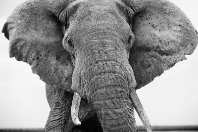 Christian Cravo Christian Cravo AFRICA REALM OF THIS WORLD May 11th July 8th 2023