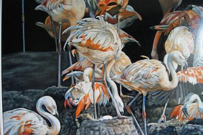 Christine Pultz Concerto di Fenicotteri