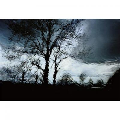 Christophe Agou Limited edition photograph from the series Face au Silence 