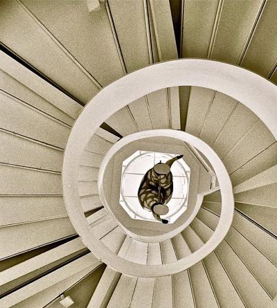 Christophe Von Hohenberg Museum de Arte Popular print ED 1 6 of Staircase by Christophe von Hohenberg