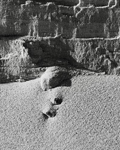 Christophe Von Hohenberg The Wall print on Silver Metallic paper ED 1 4 by Christophe von Hohenberg