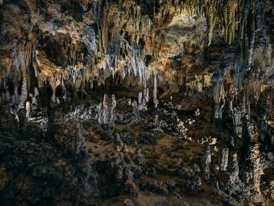 Christos J Palios Lovers Discover Textured Meadow at Dusk