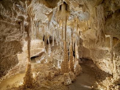 Christos J Palios White Giants