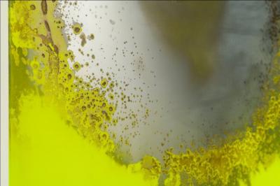 Cimone Kind Berman Acid Green Mirror