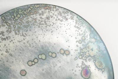 Cimone Kind Berman Wolf Moon Mirror