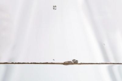 Circa 1760 Italian Rococo Giltwood Wall Mirror probably Milan 71 H x 56 W