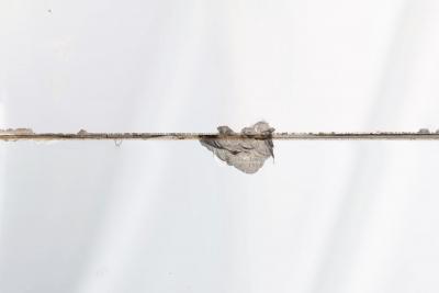 Circa 1760 Italian Rococo Giltwood Wall Mirror probably Milan 71 H x 56 W