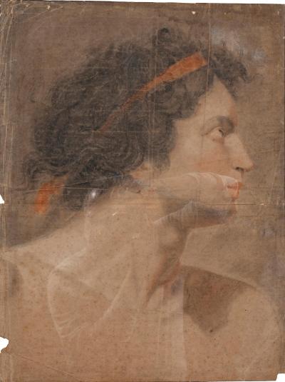Classical Drawing of a Young Man