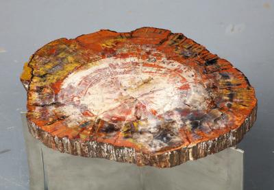Claude De Muzac Rare Petrified Wood and Steel Side Table by Sculptor Claude De Muzac France