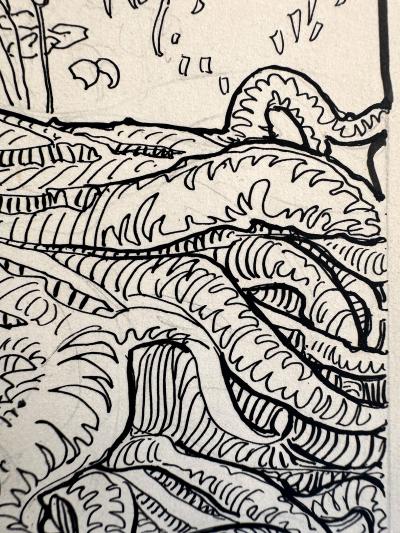 Colista Mrs E H Dowling Baby Bears Original Illustration Female Illustrator