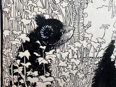 Colista Mrs E H Dowling Baby Bears Original Illustration Female Illustrator